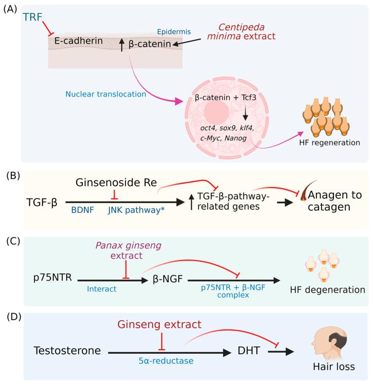 https://cdn.ncbi.nlm.nih.gov/pmc/blobs/caf8/9963650/82847f00d3fe/pharmaceuticals-16-00206-g002.jpg