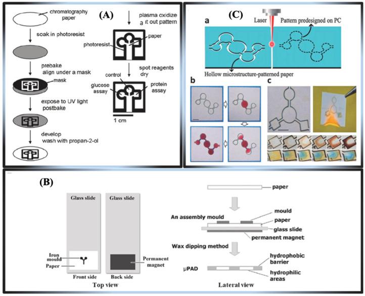 https://cdn.ncbi.nlm.nih.gov/pmc/blobs/caf9/12025047/162053fd939e/biosensors-15-00222-g013.jpg