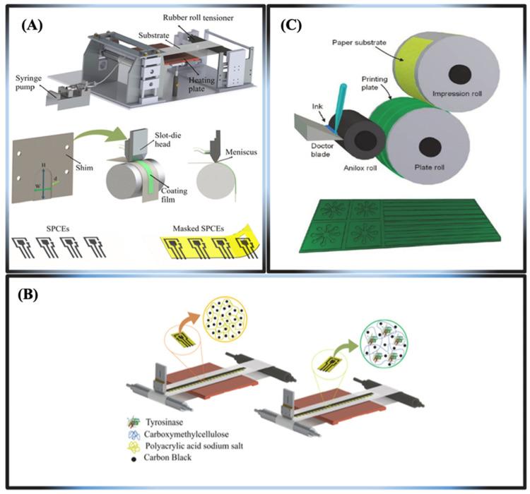 https://cdn.ncbi.nlm.nih.gov/pmc/blobs/caf9/12025047/77285faeef26/biosensors-15-00222-g012.jpg