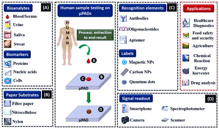https://cdn.ncbi.nlm.nih.gov/pmc/blobs/caf9/12025047/aa86748dd650/biosensors-15-00222-g011.jpg