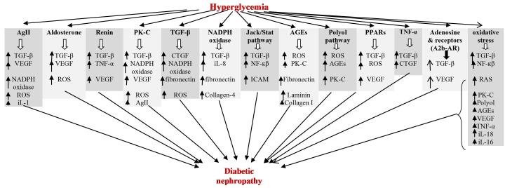 https://cdn.ncbi.nlm.nih.gov/pmc/blobs/caf9/4206008/be9c28724e3c/jrip-2-59-g001.jpg