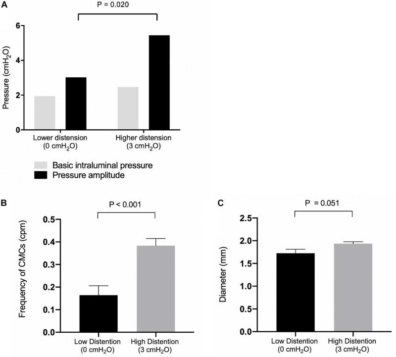 https://cdn.ncbi.nlm.nih.gov/pmc/blobs/cafa/7040375/3fca595c3f1c/fphys-11-00109-g004.jpg