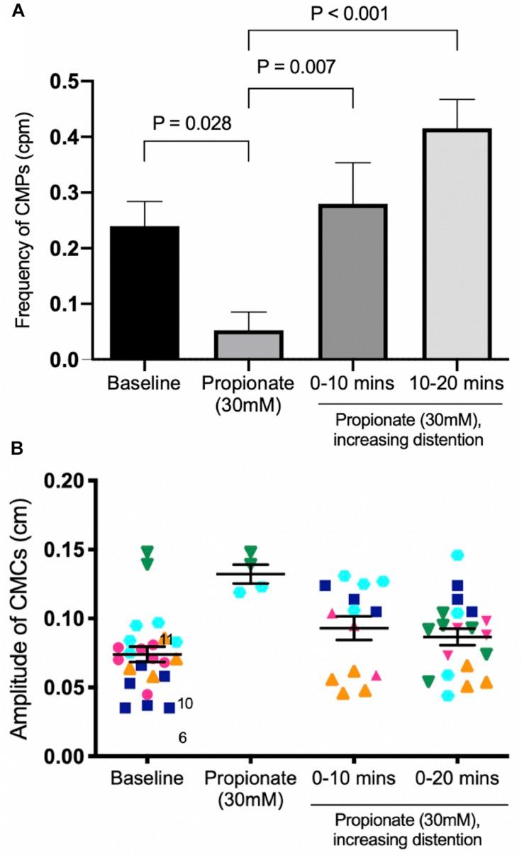 https://cdn.ncbi.nlm.nih.gov/pmc/blobs/cafa/7040375/e46d082ec557/fphys-11-00109-g010.jpg