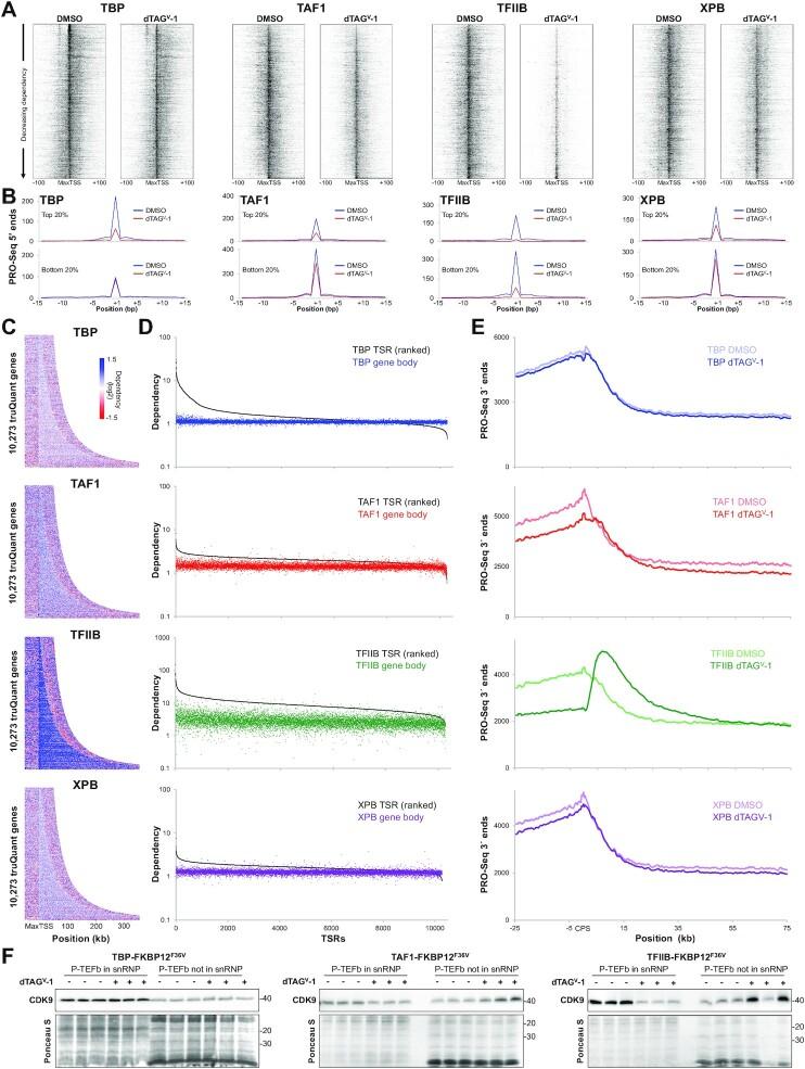 https://cdn.ncbi.nlm.nih.gov/pmc/blobs/cafa/9458433/88e2511821c8/gkac678fig4.jpg