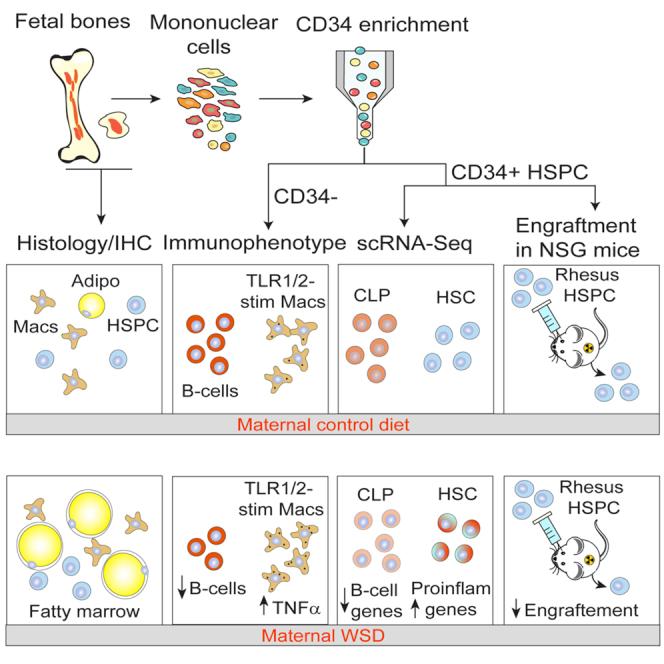 https://cdn.ncbi.nlm.nih.gov/pmc/blobs/cafa/9768582/6c0e2b8d21fc/fx1.jpg