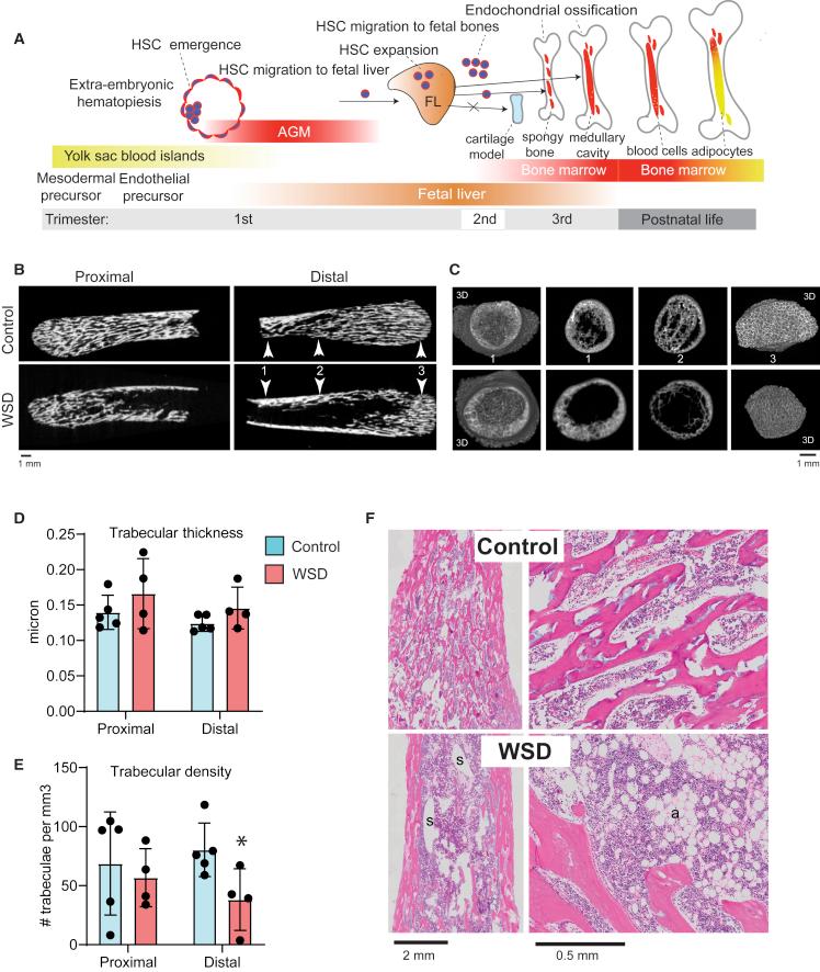 https://cdn.ncbi.nlm.nih.gov/pmc/blobs/cafa/9768582/d10b67e7d6a3/gr1.jpg