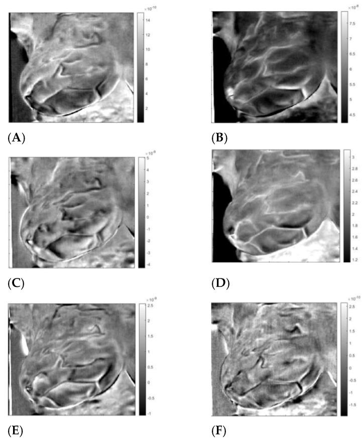 https://cdn.ncbi.nlm.nih.gov/pmc/blobs/cafb/10057499/e836e723a01c/sensors-23-03012-g002.jpg