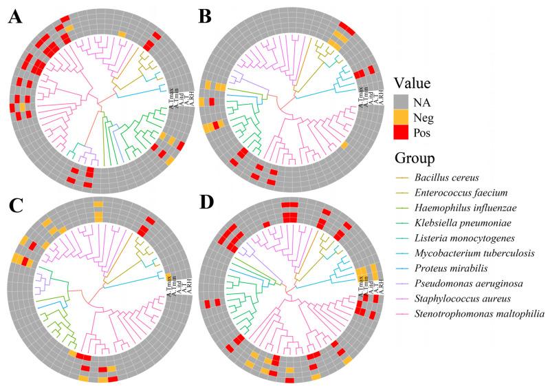 https://cdn.ncbi.nlm.nih.gov/pmc/blobs/cafb/10892523/a1851d875c72/microorganisms-12-00260-g002.jpg