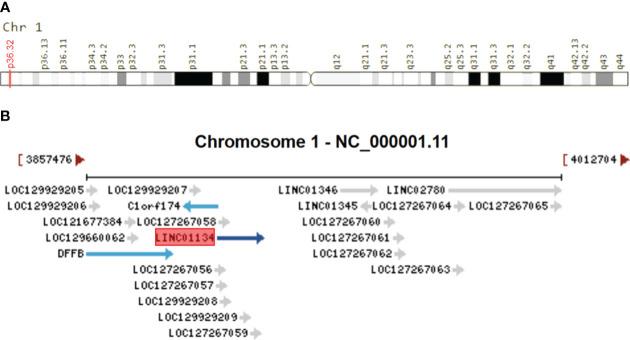 https://cdn.ncbi.nlm.nih.gov/pmc/blobs/cafb/10915649/674eb851d68e/fonc-14-1265762-g001.jpg