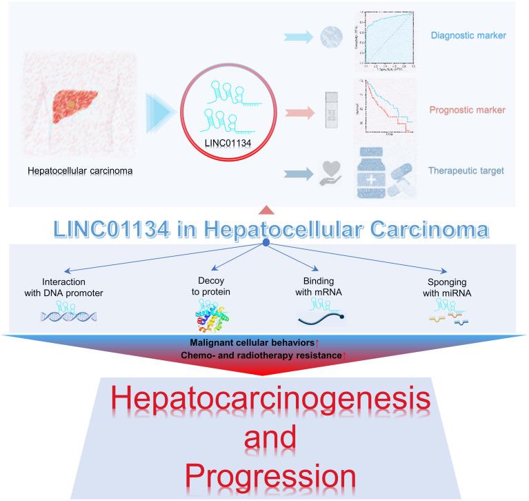 https://cdn.ncbi.nlm.nih.gov/pmc/blobs/cafb/10915649/aa433c7e4b33/fonc-14-1265762-g002.jpg