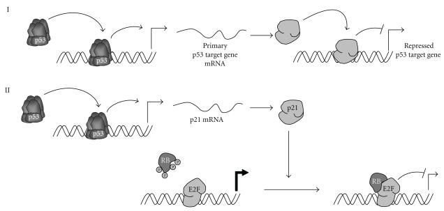 https://cdn.ncbi.nlm.nih.gov/pmc/blobs/cafc/3062963/e6925382ca48/JBB2011-464916.005.jpg