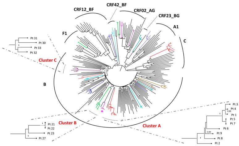 https://cdn.ncbi.nlm.nih.gov/pmc/blobs/cafc/7911907/d0a5113309cf/viruses-13-00176-g001.jpg