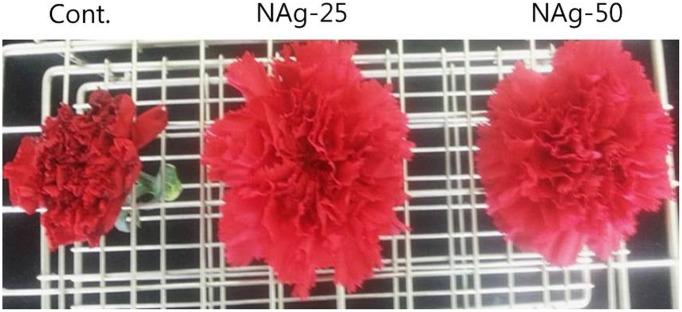 https://cdn.ncbi.nlm.nih.gov/pmc/blobs/cafe/5601422/f208544e1bcb/fpls-08-01590-g001.jpg