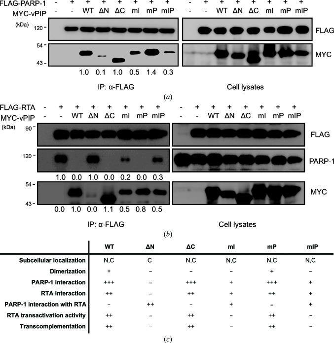https://cdn.ncbi.nlm.nih.gov/pmc/blobs/cafe/6211522/367a861aa2eb/m-05-00866-fig4.jpg