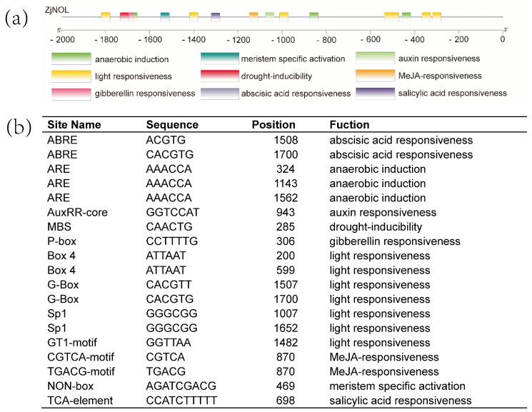 https://cdn.ncbi.nlm.nih.gov/pmc/blobs/caff/9181577/81a32791a2a8/ijms-23-06032-g002.jpg