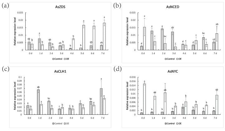 https://cdn.ncbi.nlm.nih.gov/pmc/blobs/caff/9181577/83baac98819e/ijms-23-06032-g004.jpg