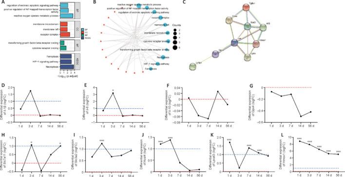 https://cdn.ncbi.nlm.nih.gov/pmc/blobs/cb00/11040287/77a873883bd6/NRR-19-2041-g004.jpg