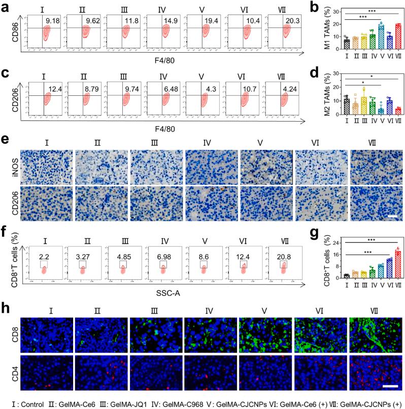 https://cdn.ncbi.nlm.nih.gov/pmc/blobs/cb03/11402546/0402dbef001f/gr5.jpg