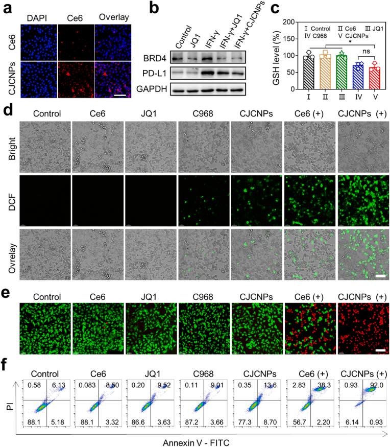 https://cdn.ncbi.nlm.nih.gov/pmc/blobs/cb03/11402546/4980d60c273a/gr2.jpg