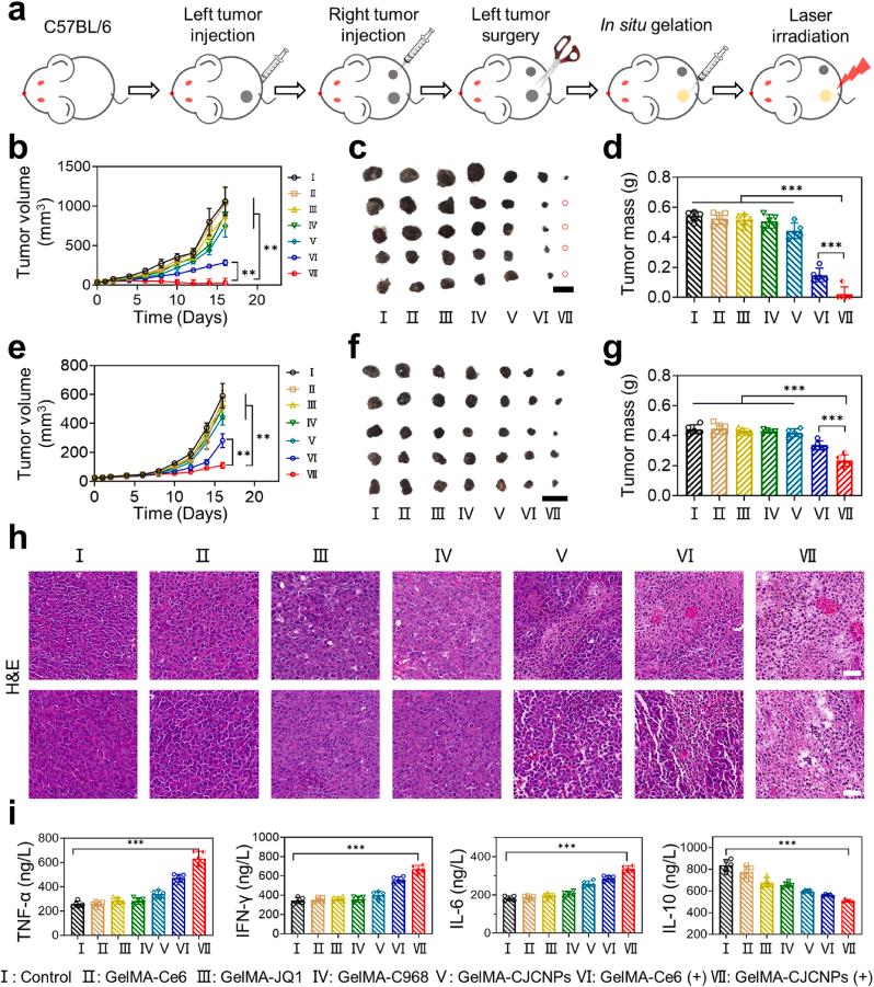 https://cdn.ncbi.nlm.nih.gov/pmc/blobs/cb03/11402546/93d7dc637b01/gr7.jpg