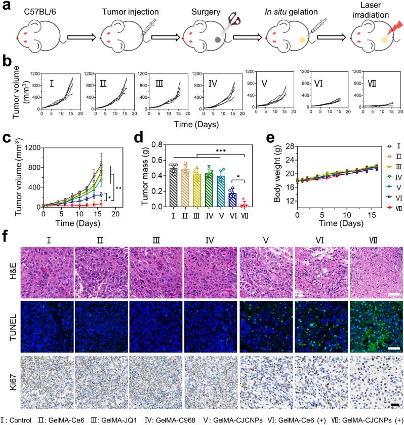 https://cdn.ncbi.nlm.nih.gov/pmc/blobs/cb03/11402546/fc10235bb282/gr4.jpg
