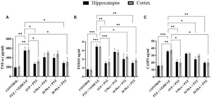 https://cdn.ncbi.nlm.nih.gov/pmc/blobs/cb04/12062037/20fe53e2c849/fphar-16-1580943-g009.jpg