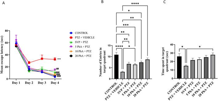https://cdn.ncbi.nlm.nih.gov/pmc/blobs/cb04/12062037/51c23a2825a4/fphar-16-1580943-g008.jpg