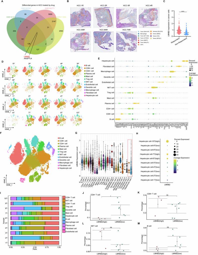 https://cdn.ncbi.nlm.nih.gov/pmc/blobs/cb05/12145441/0b17784ddea1/41420_2025_2540_Fig1_HTML.jpg