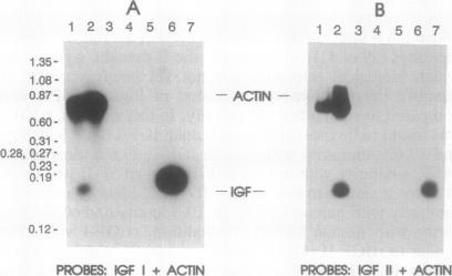 https://cdn.ncbi.nlm.nih.gov/pmc/blobs/cb07/50034/e3e786fa09c2/pnas01093-0067-a.jpg