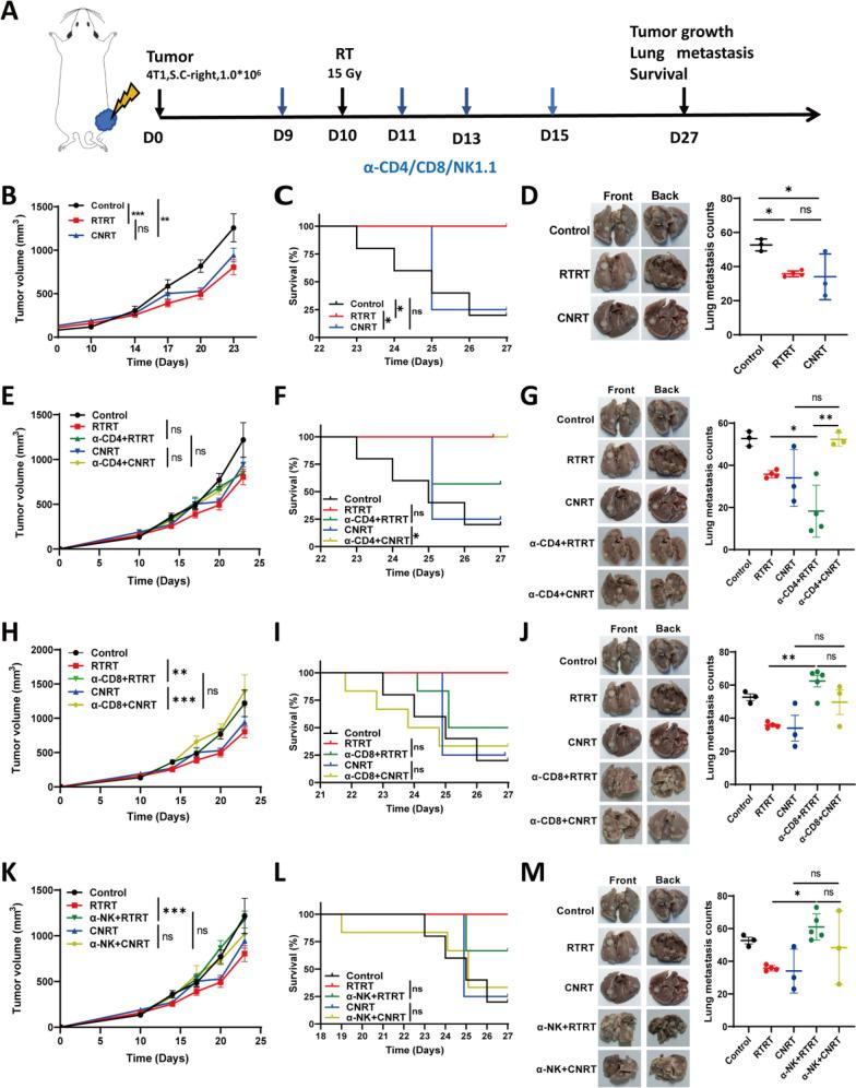 https://cdn.ncbi.nlm.nih.gov/pmc/blobs/cb08/11687019/29406b158c5a/10020_2024_1037_Fig5_HTML.jpg
