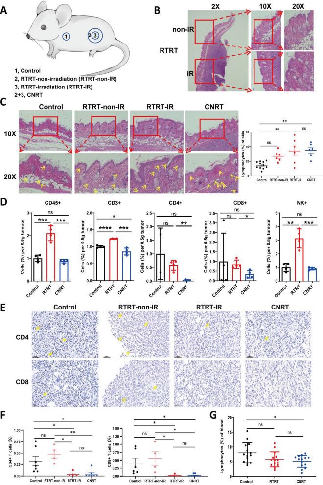 https://cdn.ncbi.nlm.nih.gov/pmc/blobs/cb08/11687019/a0421d7fa52a/10020_2024_1037_Fig3_HTML.jpg