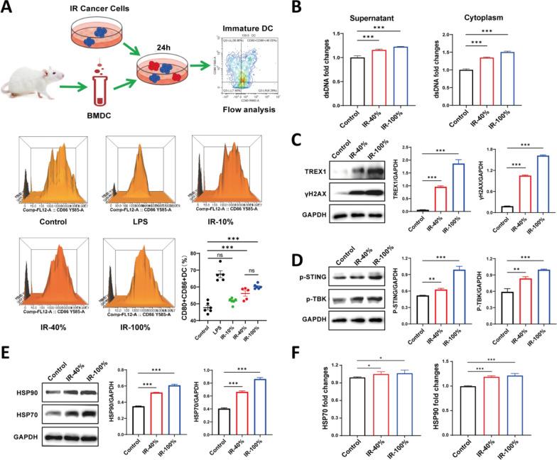 https://cdn.ncbi.nlm.nih.gov/pmc/blobs/cb08/11687019/d897a7a05de9/10020_2024_1037_Fig4_HTML.jpg