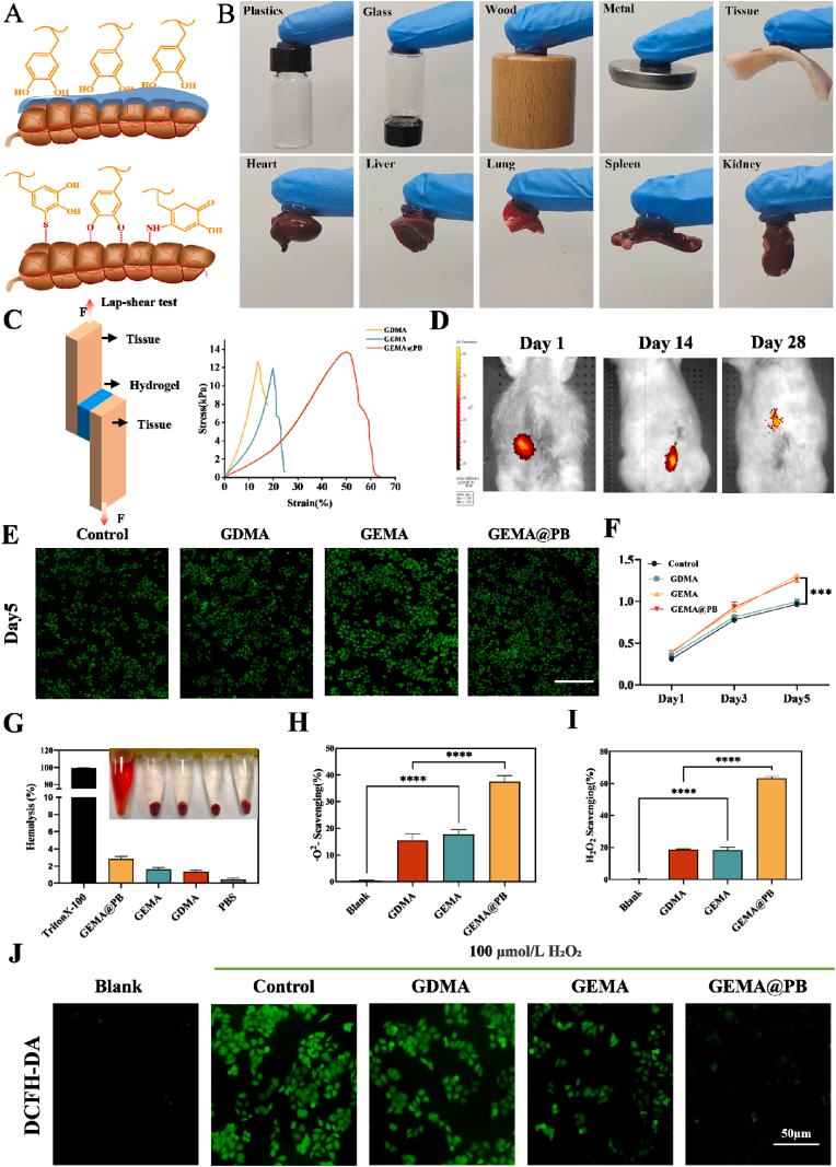 https://cdn.ncbi.nlm.nih.gov/pmc/blobs/cb0a/11950758/18e9b3059c29/gr5.jpg