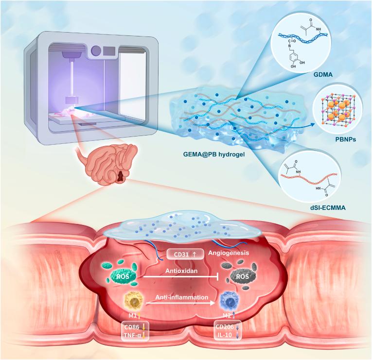 https://cdn.ncbi.nlm.nih.gov/pmc/blobs/cb0a/11950758/56fabeae5da2/gr1.jpg