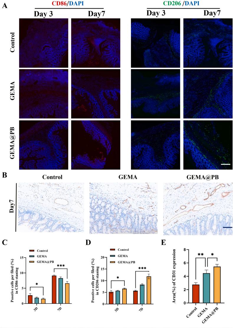 https://cdn.ncbi.nlm.nih.gov/pmc/blobs/cb0a/11950758/6256f77b9867/gr9.jpg