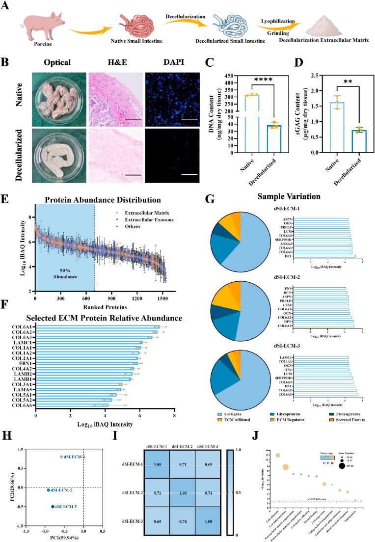 https://cdn.ncbi.nlm.nih.gov/pmc/blobs/cb0a/11950758/71eecfad7110/gr2.jpg