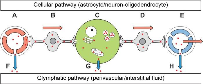 https://cdn.ncbi.nlm.nih.gov/pmc/blobs/cb0a/7176133/36bbe7423f99/pone.0231870.g006.jpg