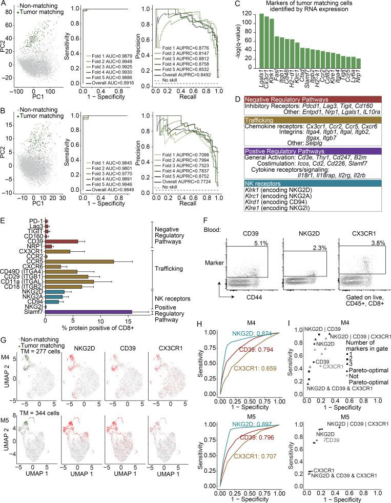 https://cdn.ncbi.nlm.nih.gov/pmc/blobs/cb0b/7933992/1a4f68d46114/JEM_20200920_Fig2.jpg
