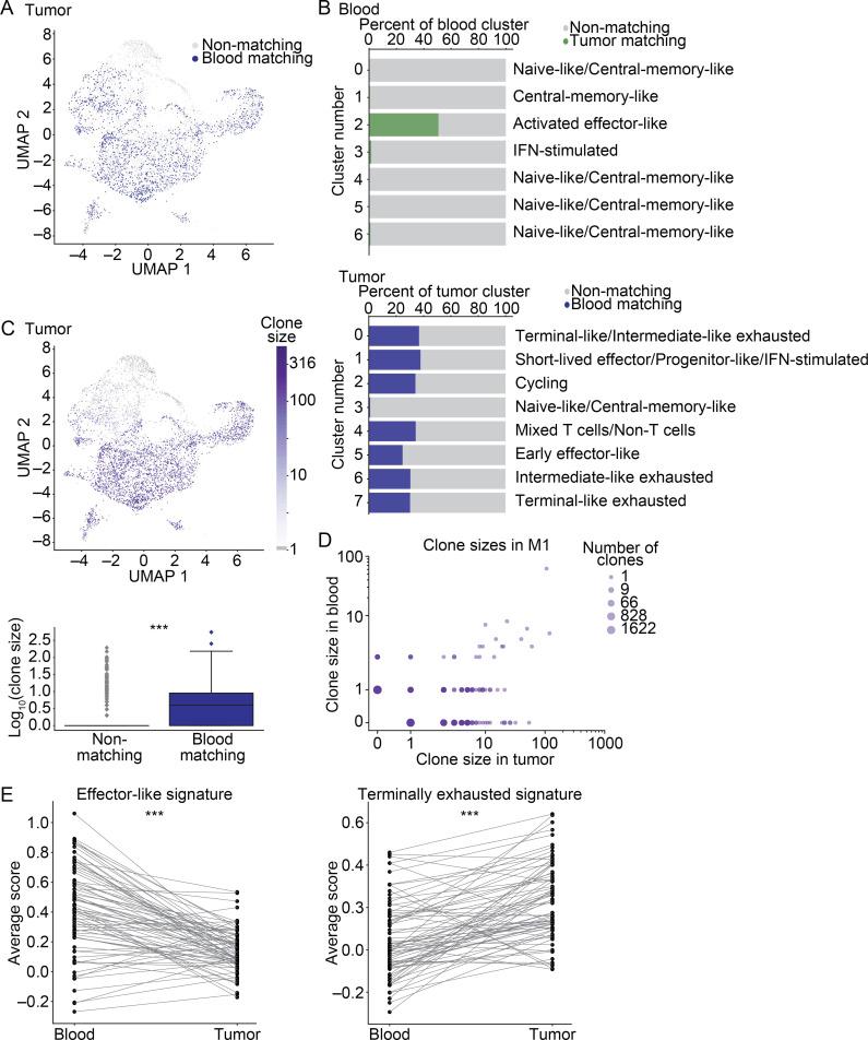 https://cdn.ncbi.nlm.nih.gov/pmc/blobs/cb0b/7933992/2ed13fa253b9/JEM_20200920_Fig3.jpg