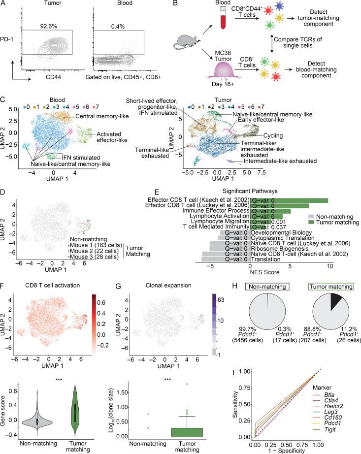 https://cdn.ncbi.nlm.nih.gov/pmc/blobs/cb0b/7933992/602f130167f8/JEM_20200920_Fig1.jpg