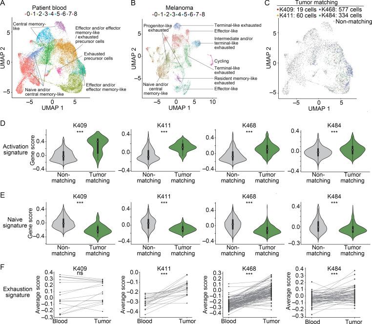 https://cdn.ncbi.nlm.nih.gov/pmc/blobs/cb0b/7933992/c7dec931dcad/JEM_20200920_Fig4.jpg