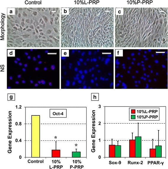 https://cdn.ncbi.nlm.nih.gov/pmc/blobs/cb0c/4572462/a4c0fdc94601/13287_2015_172_Fig2_HTML.jpg