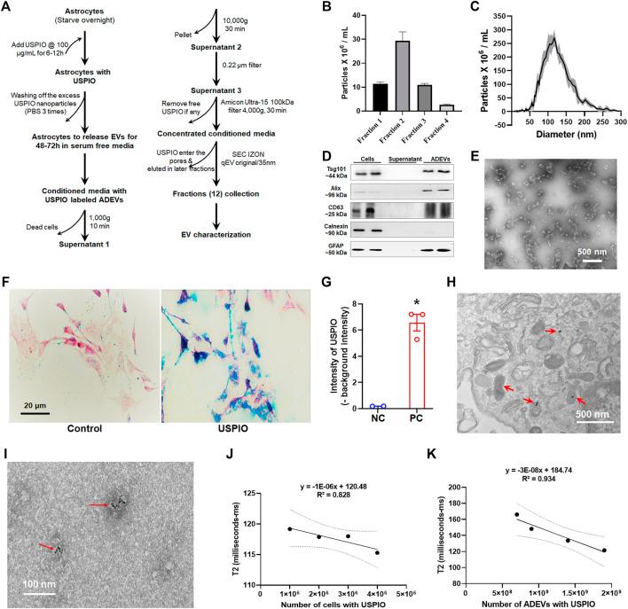 https://cdn.ncbi.nlm.nih.gov/pmc/blobs/cb0c/9022024/eb74d03a1abc/fphar-13-819516-g001.jpg