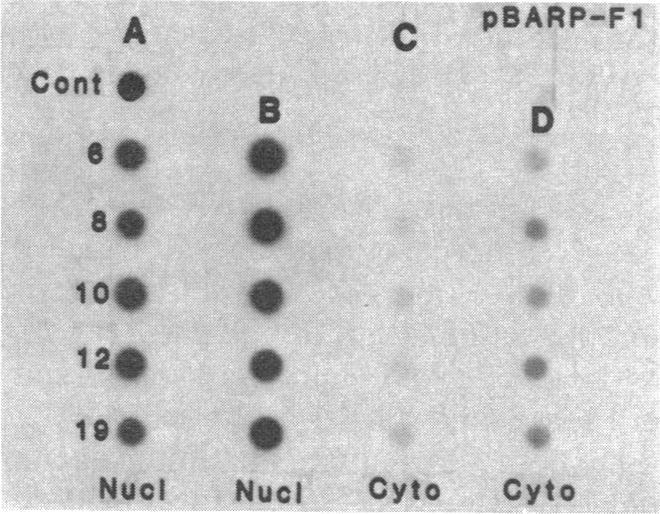 https://cdn.ncbi.nlm.nih.gov/pmc/blobs/cb0d/323812/198645fae9e9/pnas00317-0144-c.jpg