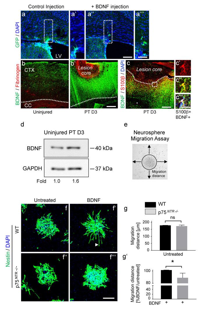 https://cdn.ncbi.nlm.nih.gov/pmc/blobs/cb0f/8975773/2aaa6f55901d/441_2021_3539_Fig3_HTML.jpg
