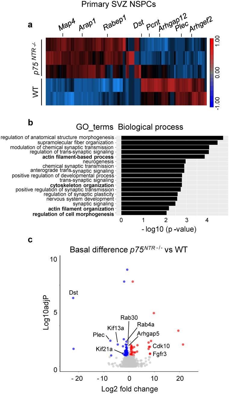 https://cdn.ncbi.nlm.nih.gov/pmc/blobs/cb0f/8975773/2e5ccca3ab2d/441_2021_3539_Fig5_HTML.jpg