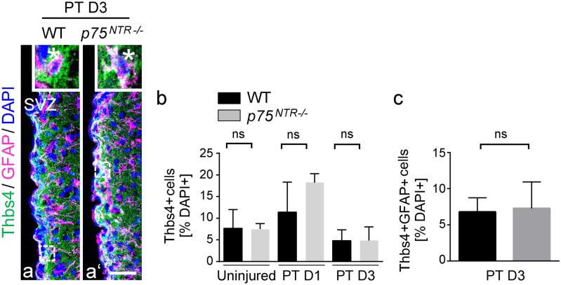 https://cdn.ncbi.nlm.nih.gov/pmc/blobs/cb0f/8975773/779a29cc8f7e/441_2021_3539_Fig2_HTML.jpg