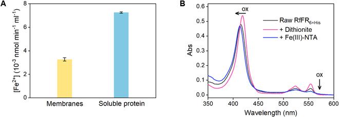 https://cdn.ncbi.nlm.nih.gov/pmc/blobs/cb10/11570789/00d2307fb7c8/research.0528.fig.004.jpg