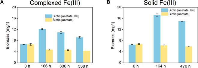 https://cdn.ncbi.nlm.nih.gov/pmc/blobs/cb10/11570789/1d69dae59507/research.0528.fig.003.jpg