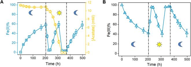 https://cdn.ncbi.nlm.nih.gov/pmc/blobs/cb10/11570789/a02eeb79458f/research.0528.fig.006.jpg